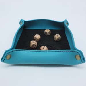 Vide poche bleu noir